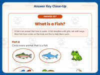 Fish Classification Worksheet – 2nd Grade Animals Practice preview 7