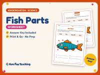 Fish Parts Worksheet – Kindergarten Anatomy & Animals Practice preview