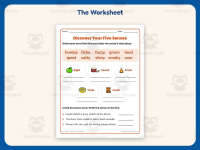 Five Senses Examples Worksheet – 2nd Grade Adjectives Practice preview 2