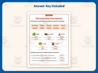 Five Senses Examples Worksheet – 2nd Grade Adjectives Practice preview 3