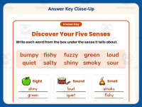 Five Senses Examples Worksheet – 2nd Grade Adjectives Practice preview 7