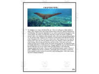 Product image #3