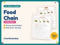 Food Chain Worksheet – 4th Grade Food Chains Practice + Answer Key preview