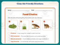 Food Chain Worksheet – 4th Grade Food Chains Practice + Answer Key preview 4