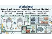 Forensic Odontology: Dental Identification & Bite Marks preview