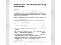 Forensic Odontology: Dental Identification & Bite Marks preview 3