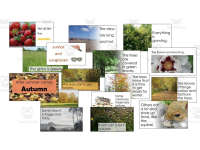 Product image #3