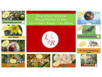 Product image #5