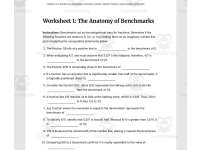 Fractions on a Number Line preview 3