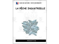 Product image #0