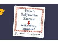 French Subjunctive Exercise – 40 Questions + Key preview