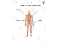 Product image #1
