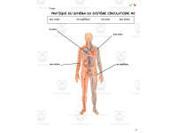 Product image #3