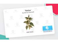 Product image #0