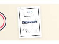 Grade 2 Teeth and Eating Science Assessment preview