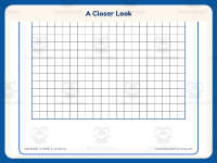 Graphing Worksheet: 20 by 20 Blank Graph Paper – 2nd Grade Math preview 3