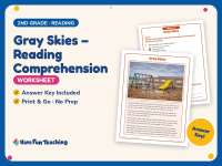 Gray Skies – Reading Comprehension Worksheet – 2nd Grade Practice preview