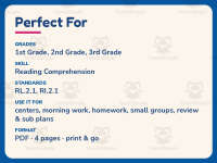 Gray Skies – Reading Comprehension Worksheet – 2nd Grade Practice preview 6