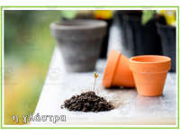 Product image #1