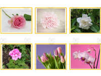 Product image #3