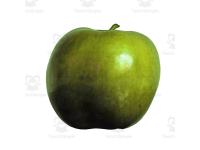 Product image #3