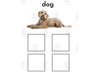 Product image #1