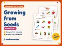 Growing from Seeds Worksheet – Kindergarten Life Cycle & Plants preview