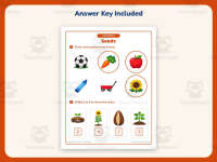 Growing from Seeds Worksheet – Kindergarten Life Cycle & Plants preview 3