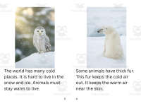 Product image #3