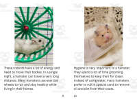 Product image #5
