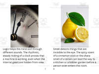 Product image #4