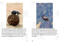 Product image #5
