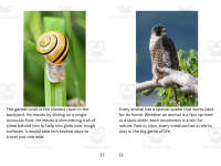 Product image #6