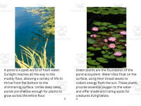 Product image #2