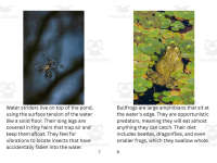 Product image #4