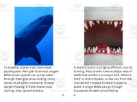 Product image #3