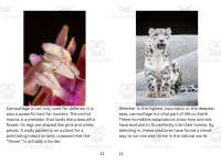 Product image #6