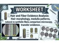 Hair and Fiber Evidence Analysis preview