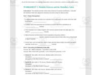 Hair and Fiber Evidence Analysis preview 4