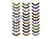 Product image #2
