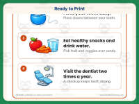 Health and Nutrition Worksheet: Dental Hygiene – 1st Grade Human Body preview 7