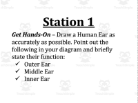 Product image #1