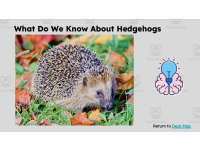 Product image #5