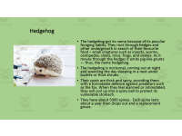 Product image #1