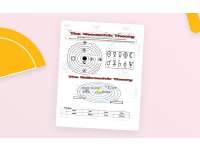 Product image #0