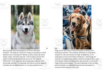 Product image #5