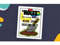 Holes Novel Study Unit preview
