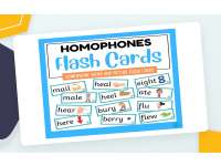 Homophone Flash Cards preview