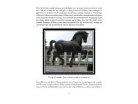 Product image #4