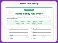 Human Body Alphabetical Order Worksheet – 3rd Grade Grammar Practice preview 7